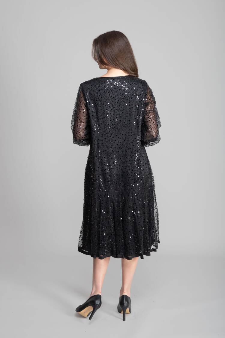 Elegant Sequined Fit And Flare Dress