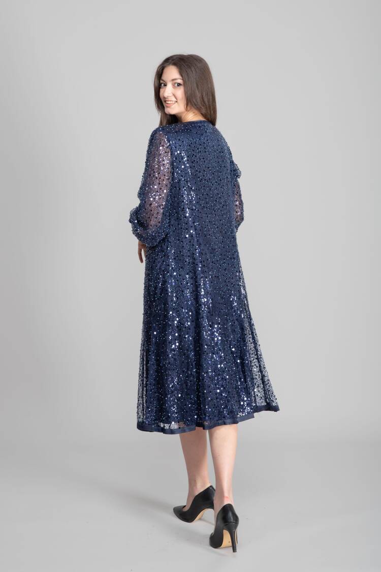 NavyElegant Sequined Fit And Flare Dress
