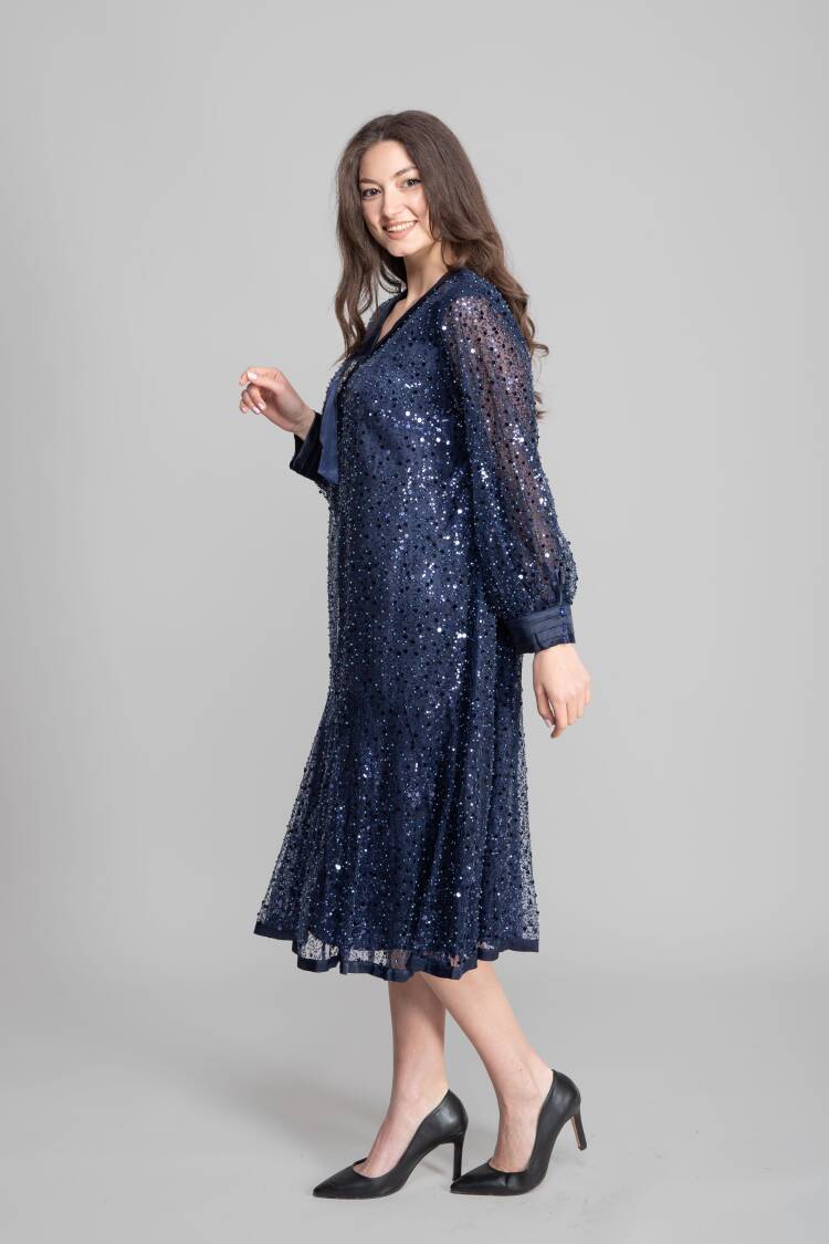 NavyElegant Sequined Fit And Flare Dress