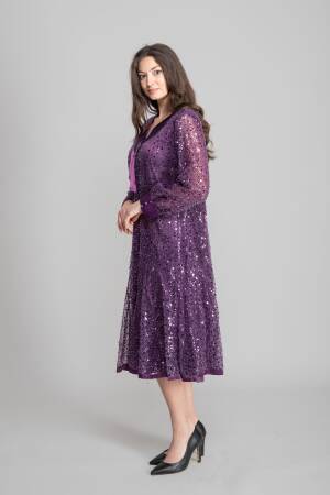Glam Elegant Formal Sequined A-Line Dress