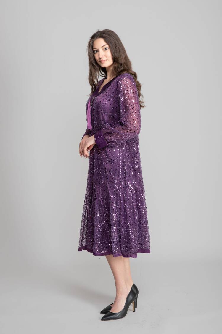 Glam Elegant Formal Sequined A-Line Dress