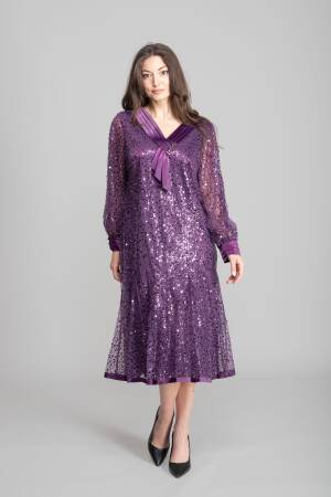 Glam Elegant Formal Sequined A-Line Dress