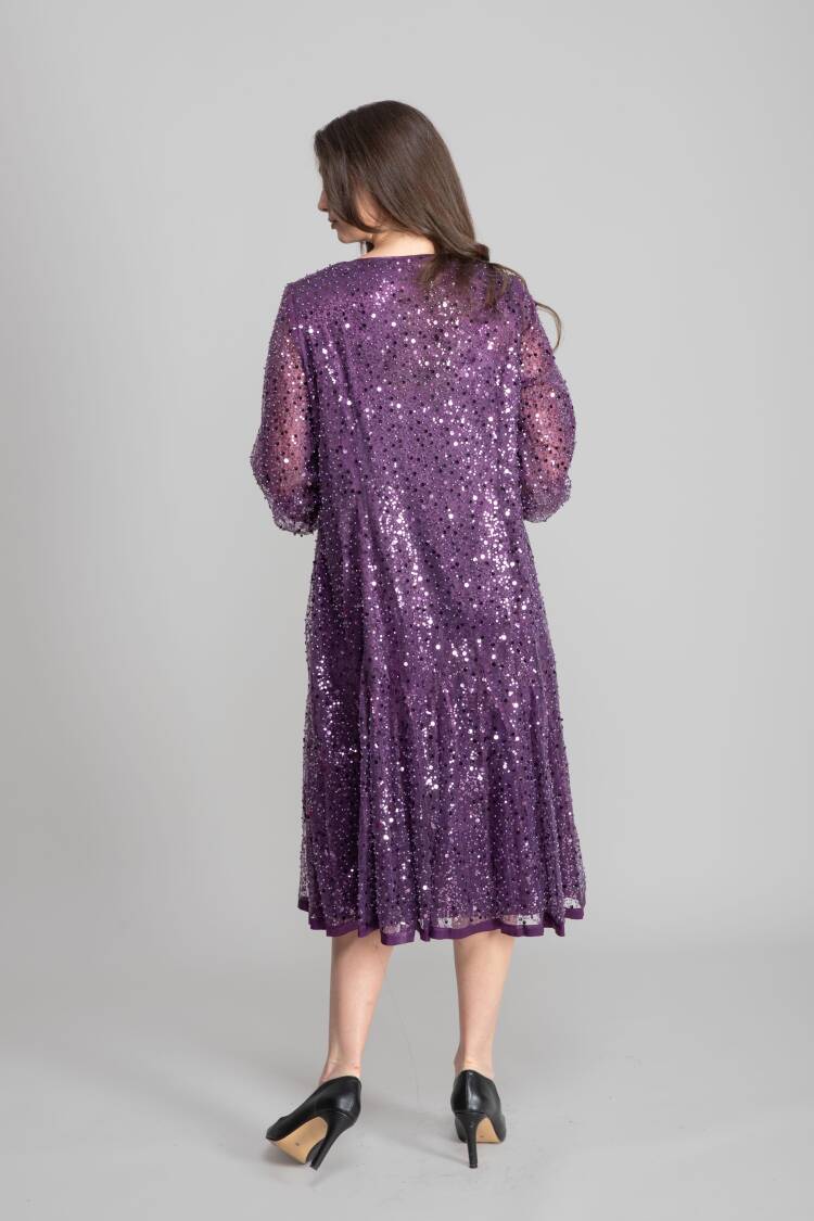 Glam Elegant Formal Sequined A-Line Dress