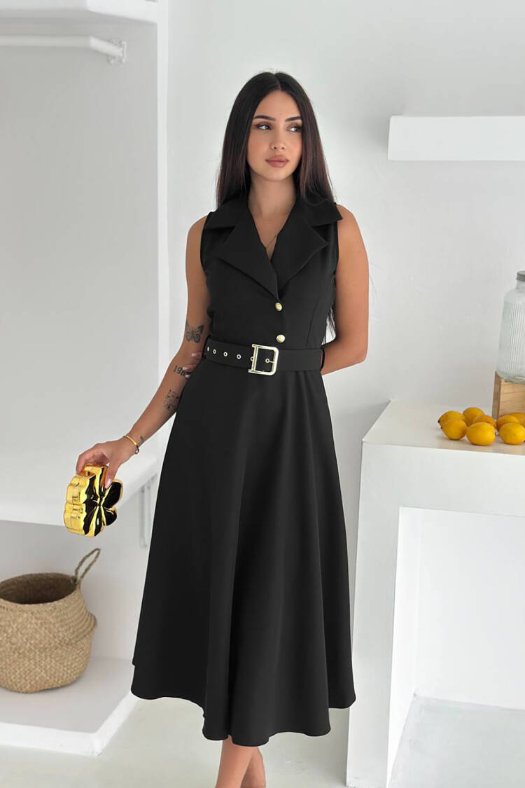 Elegant Fit And Flare Dress