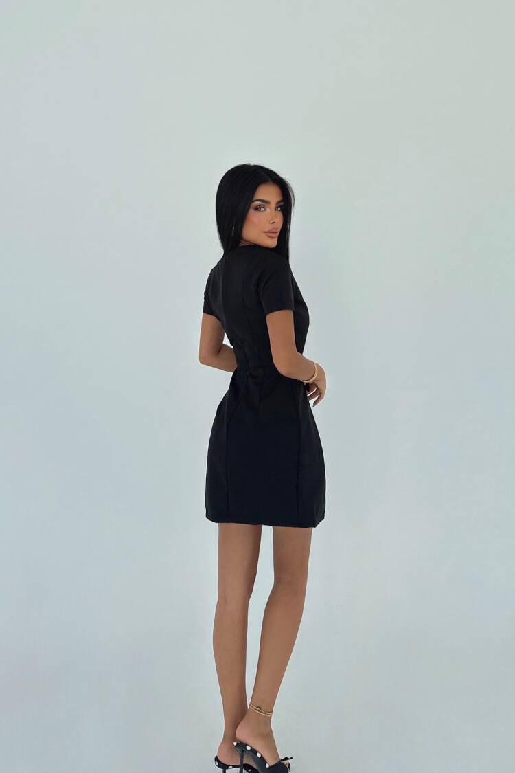 ElegantA-Line Mini Dress With Short Sleeve