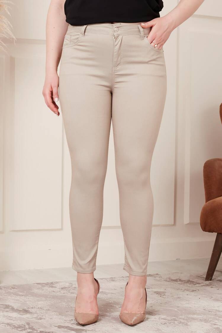 Beige Casual Elegant Tregging Pants