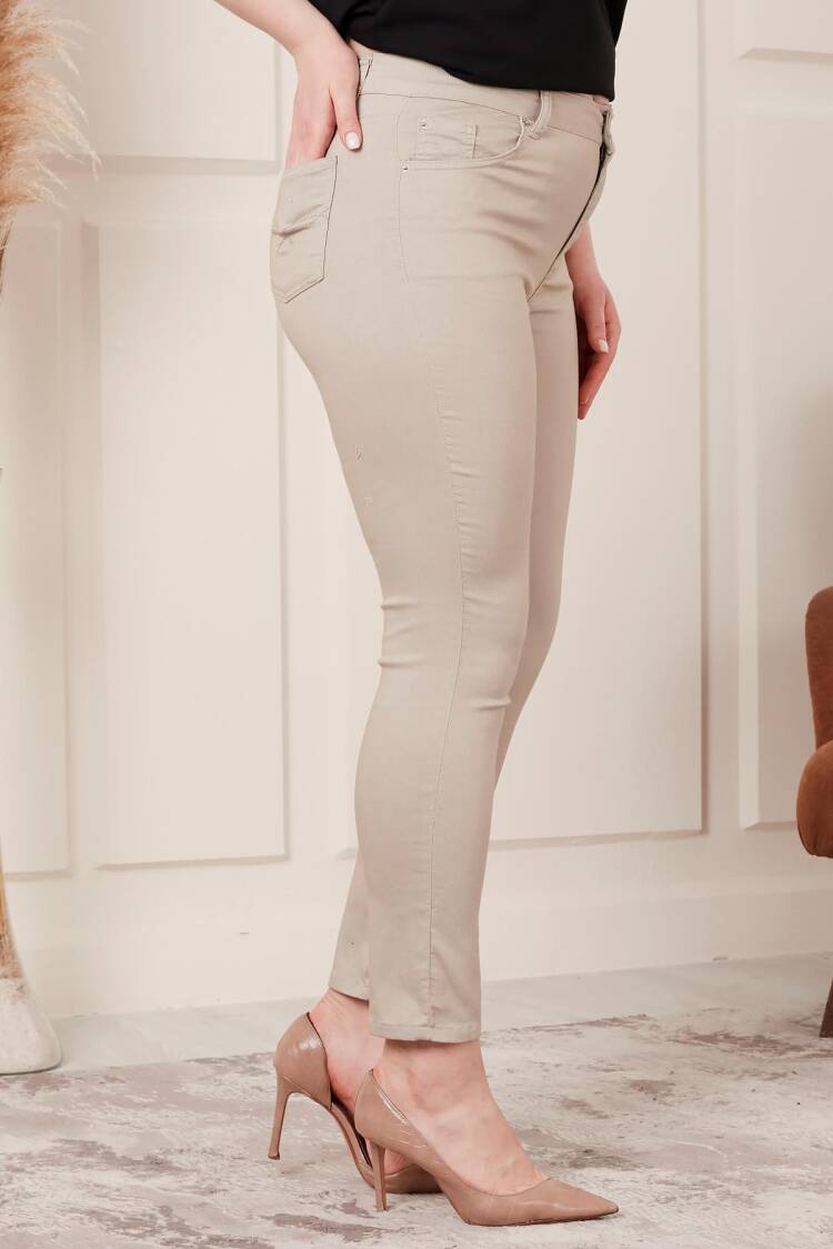 Beige Casual Elegant Tregging Pants