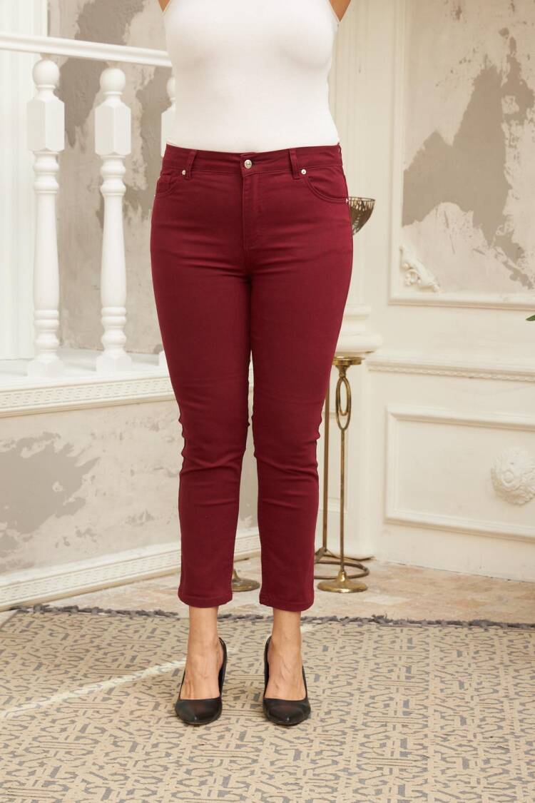 Casual Elegant Pants