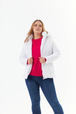 Puffer Jacket With Hooded Collar