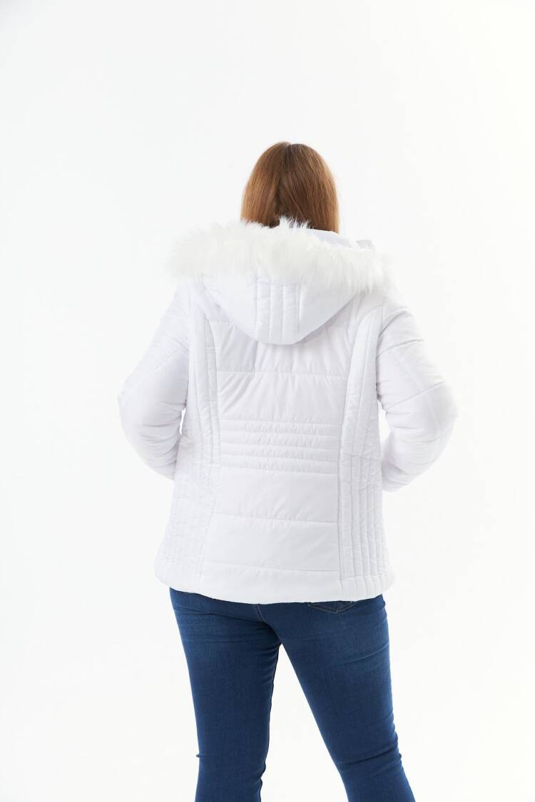 Puffer Jacket With Hooded Collar
