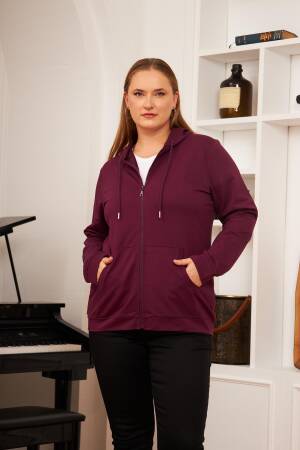 Claret Red Sweatshirt With Hooded Neck