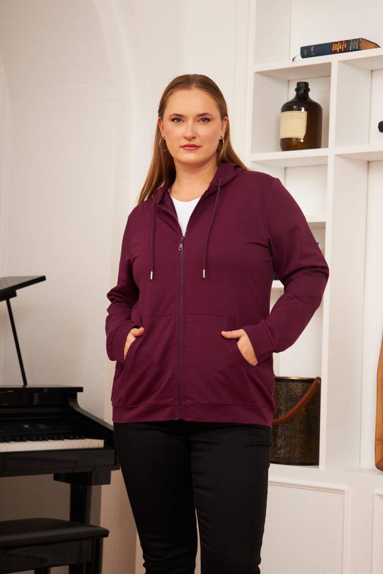 Claret Red Sweatshirt With Hooded Neck