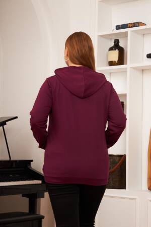 Claret Red Sweatshirt With Hooded Neck