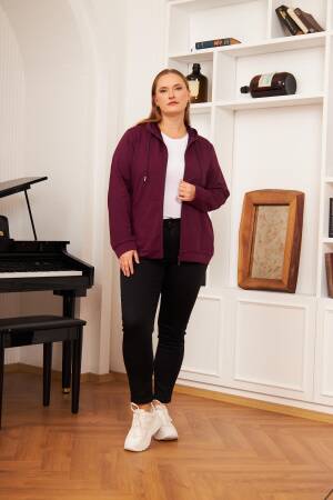 Claret Red Sweatshirt With Hooded Neck