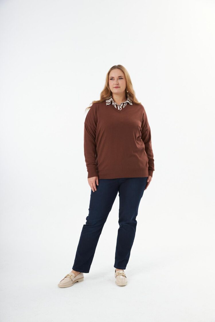 Plus Size V-Neck Blouse With Striped Long Sleeves