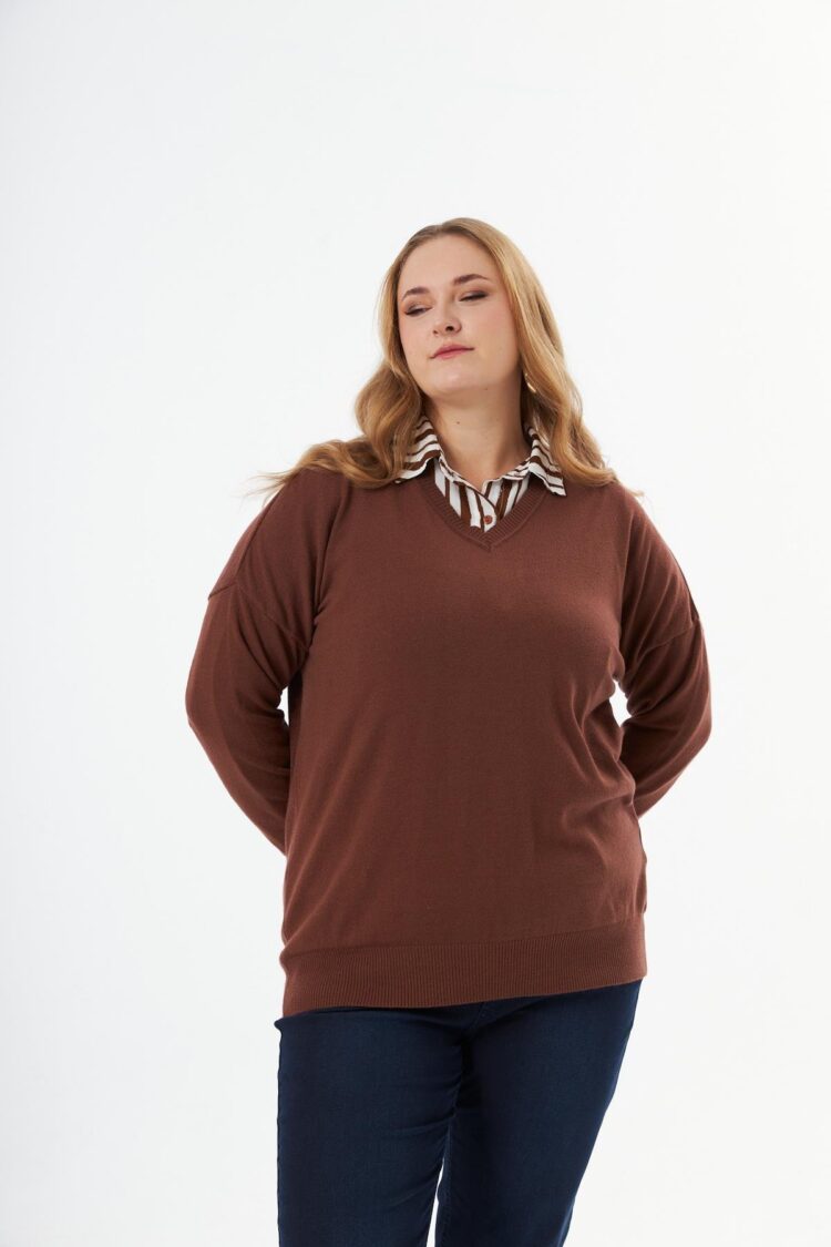 Plus Size V-Neck Blouse With Striped Long Sleeves
