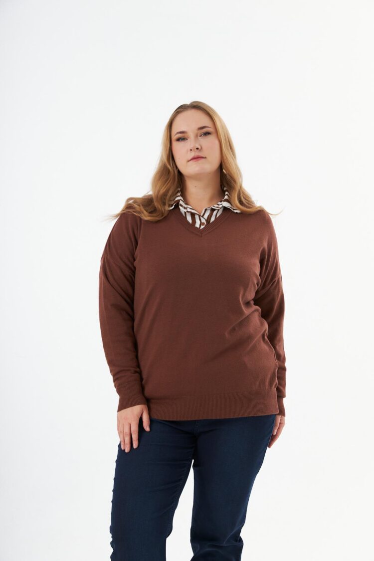 Plus Size V-Neck Blouse With Striped Long Sleeves