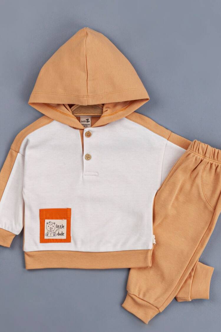 Wholesale Baby Boys 2-Piece Set With Hoodie 6-24M - Brand: BabyZ - Kids & Baby Clothes Wholesale - Globality Store