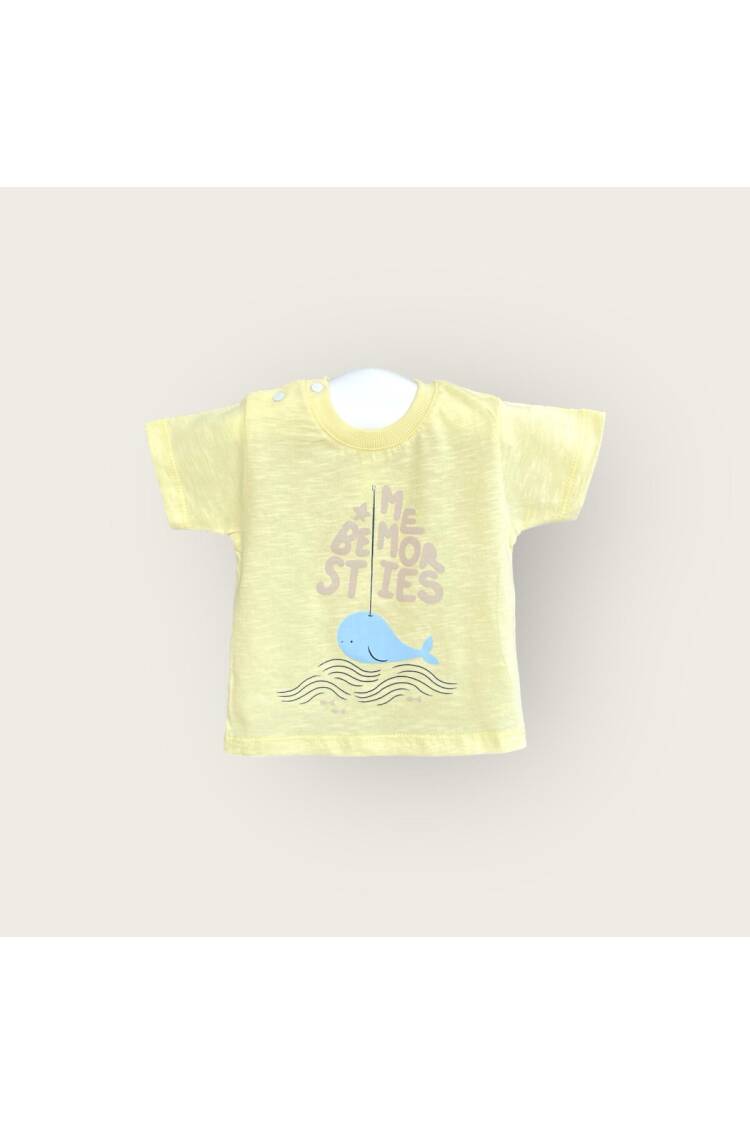 Wholesale Baby Boys T-shirt 6-18M - Brand: Algiy Mini - Kids & Baby Clothes Wholesale - Globality Store