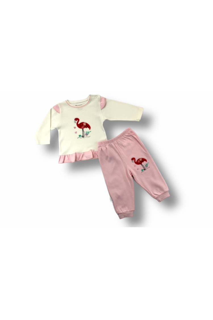 Wholesale Baby Girls 2-Piece Tracksuit Set 3-12M - Brand: Tomuycuk - Kids & Baby Clothes Wholesale - Globality Store