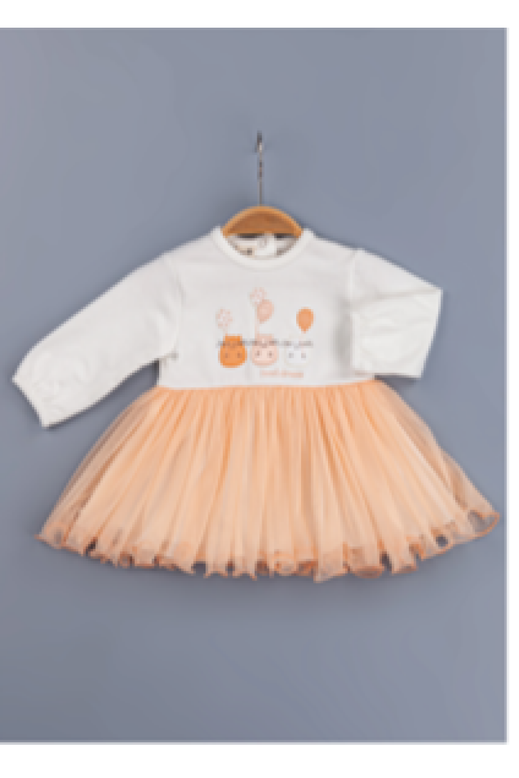 Wholesale Baby Girls Dress 6-24M - Brand: BabyZ - Kids & Baby Clothes Wholesale - Globality Store