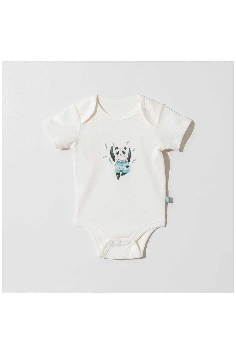 Wholesale Baby Printed Bodysuit 0-9M - Brand: Pambuliq - Kids & Baby Clothes Wholesale - Globality Store