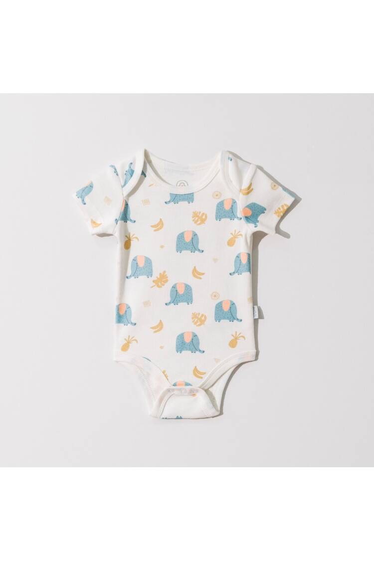Wholesale Baby Unisex Body 0-18M - Brand: Pambuliq - Kids & Baby Clothes Wholesale - Globality Store