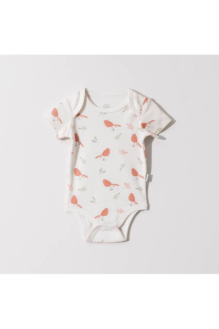 Wholesale Baby Unisex Body 0-18M - Brand: Pambuliq - Kids & Baby Clothes Wholesale - Globality Store