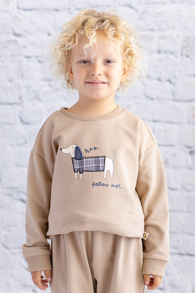 Wholesale Boy Printed Embroidered Detailed Sweatshirt 5-8Y - Brand: Zeyland - Kids & Baby Clothes Wholesale - Globality Store