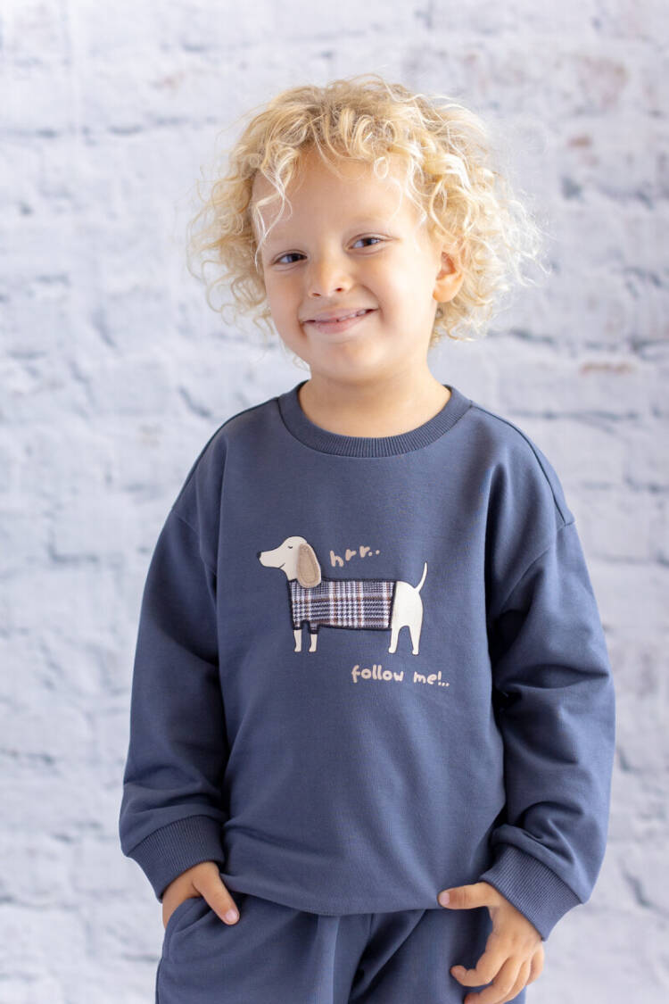 Wholesale Boy Printed Embroidered Detailed Sweatshirt 5-8Y - Brand: Zeyland - Kids & Baby Clothes Wholesale - Globality Store