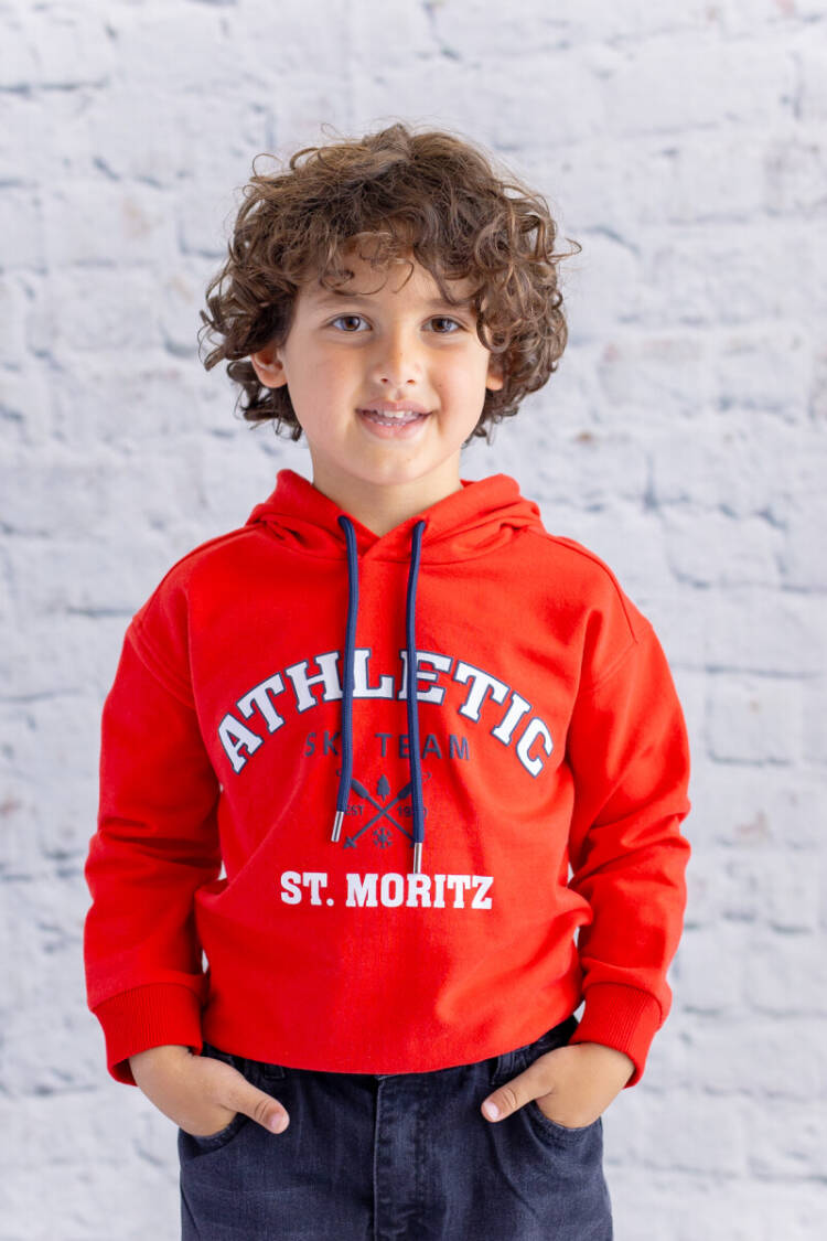 Wholesale Boys Hooded Printed Sweatshirt 1-12Y - Brand: Zeyland - Kids & Baby Clothes Wholesale - Globality Store