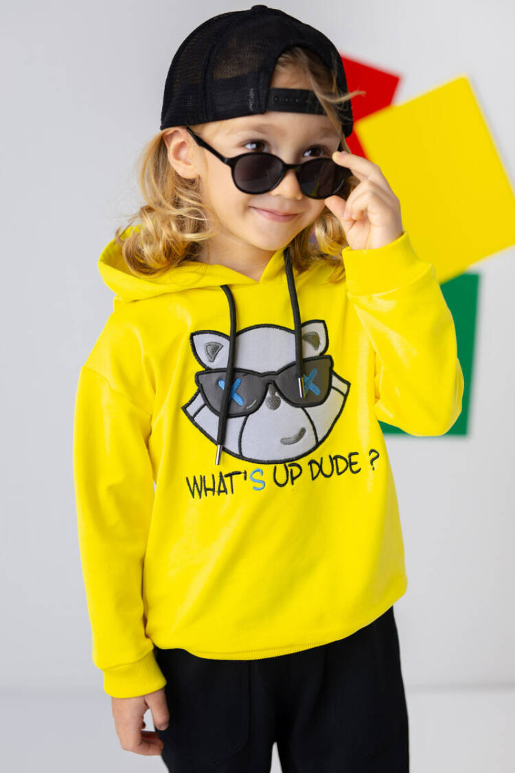 Wholesale Boys Sweatshirt 3-14Y - Brand: Zeyland - Kids & Baby Clothes Wholesale - Globality Store