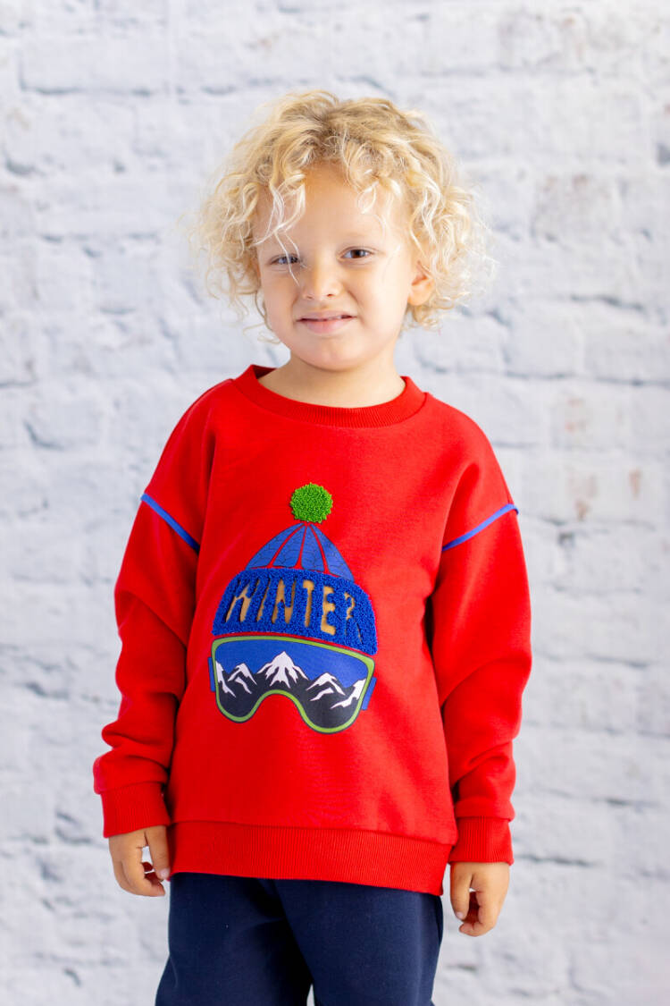 Wholesale Boys' Sweatshirt with Print and Embroidery Details 1-12Y - Brand: Zeyland - Kids & Baby Clothes Wholesale - Globality Store