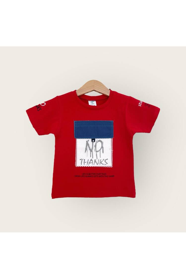 Wholesale Boys T-shirt 1-4Y - Brand: Algiy Mini - Kids & Baby Clothes Wholesale - Globality Store
