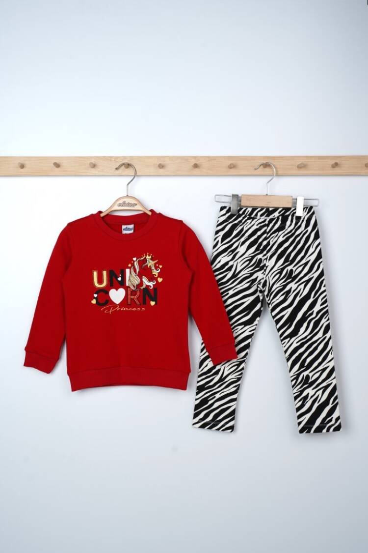 Wholesale Girls 2-Piece Sweatshirts and Leggings Set 3-6Y - Brand: Elnino - Kids & Baby Clothes Wholesale - Globality Store