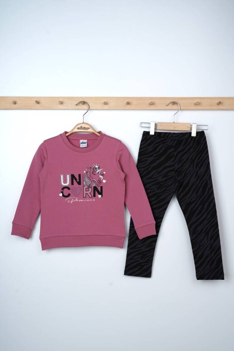 Wholesale Girls 2-Piece Sweatshirts and Leggings Set 3-6Y - Brand: Elnino - Kids & Baby Clothes Wholesale - Globality Store