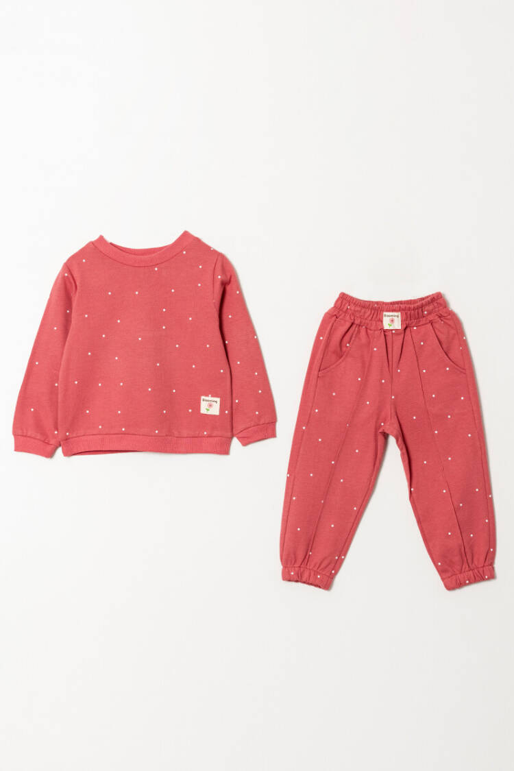 Wholesale Girls Basic Tracksuit Set 2-5Y - Brand: Tuffy - Kids & Baby Clothes Wholesale - Globality Store