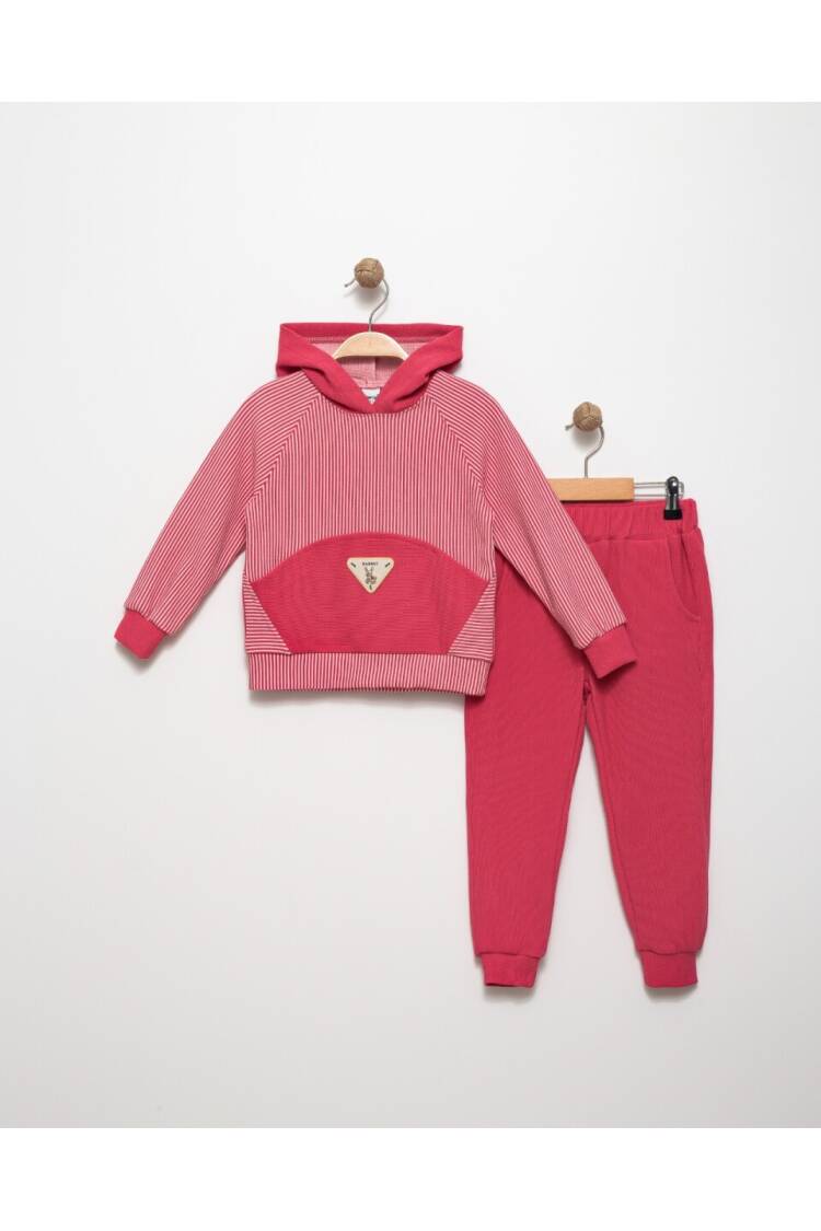 Wholesale Hooded Sweatshirt Set for Girls 4-8Y - Brand: Pafim - Kids & Baby Clothes Wholesale - Globality Store