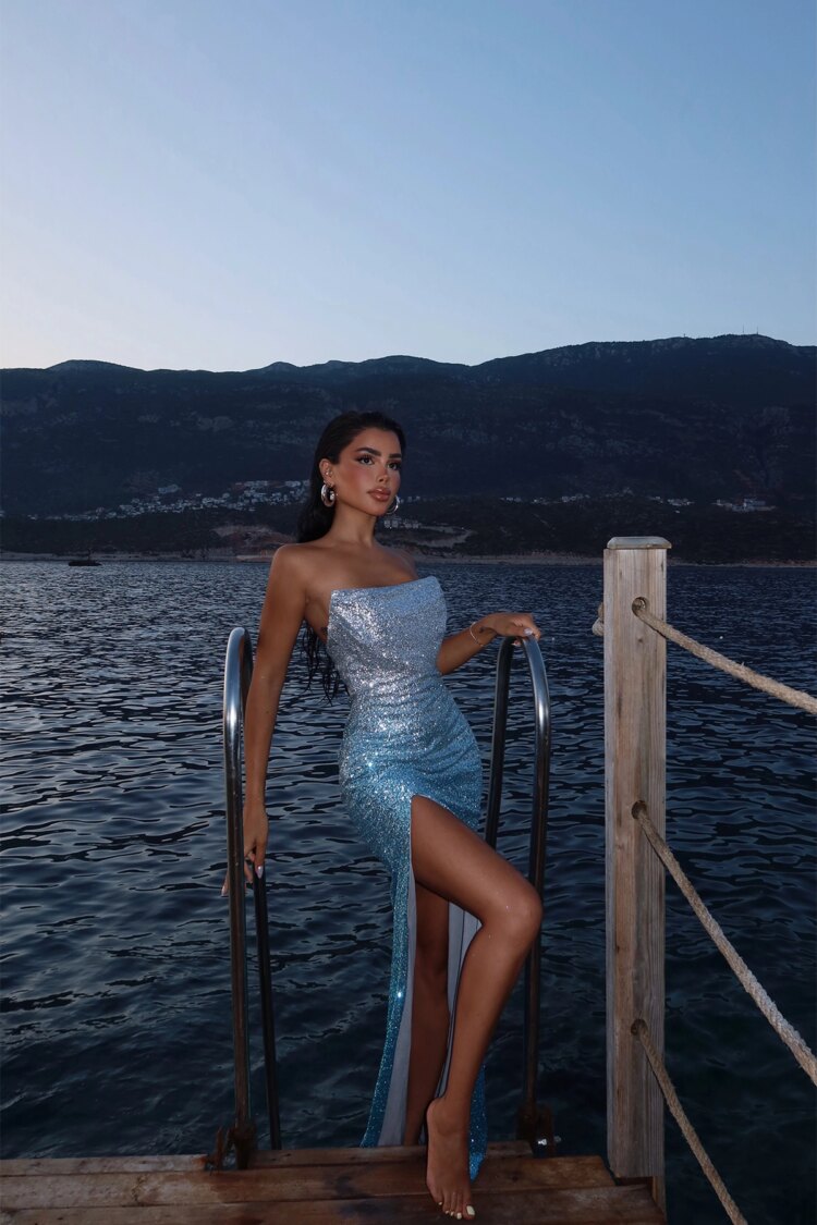 Two-Tone Toulon Long Slit Dress