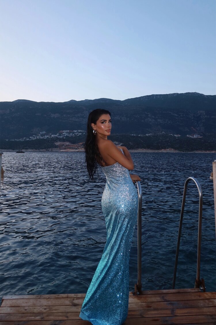 Two-Tone Toulon Long Slit Dress
