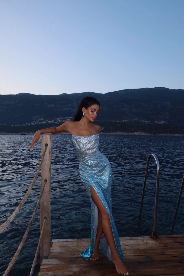 Two-Tone Toulon Long Slit Dress