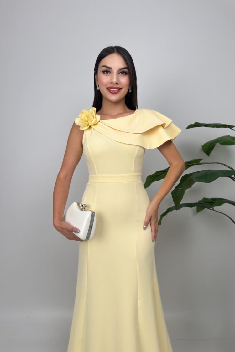 ElegantFit And Flare Dress