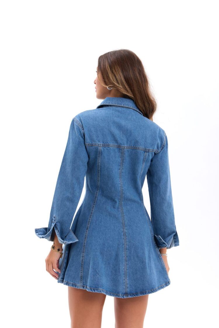 Blue Casual Vintage Shirt Dress Mini