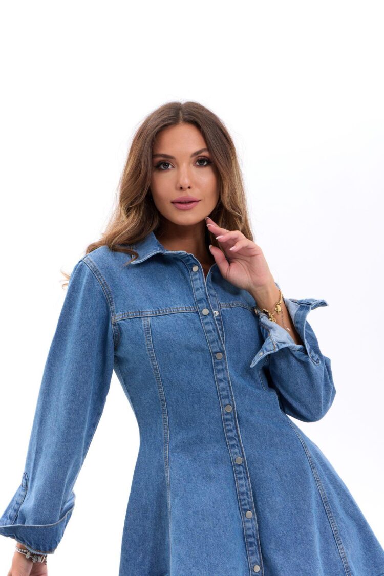 Blue Casual Vintage Shirt Dress Mini