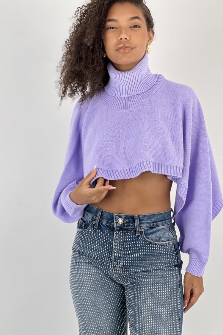 Purple Casual Sweater With Turtle Neck