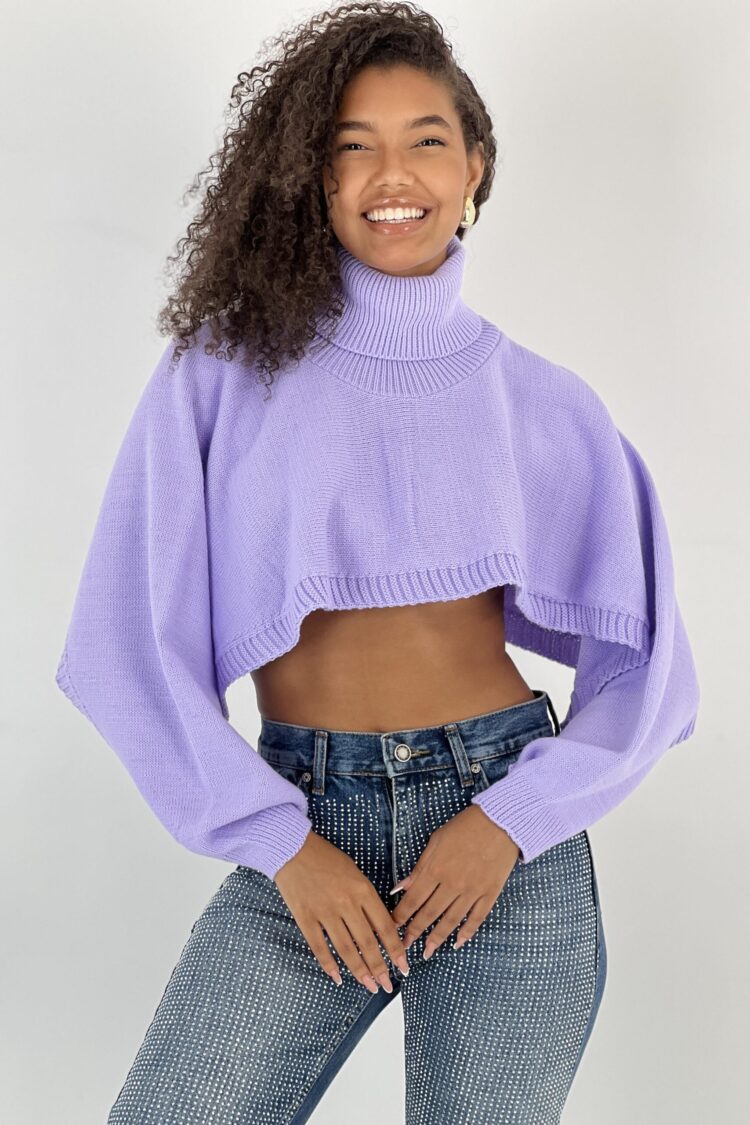 Purple Casual Sweater With Turtle Neck
