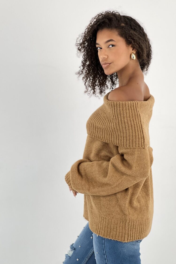 Brown Casual Elegant Sweater With Off Shoulder Neck