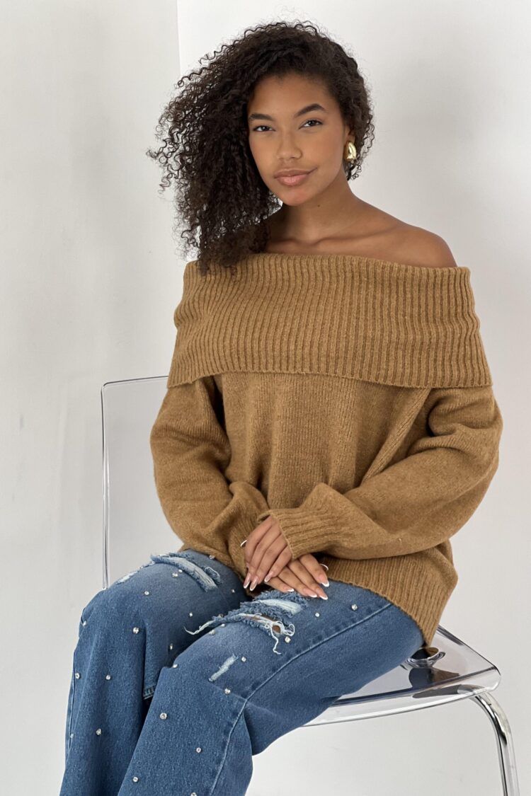 Brown Casual Elegant Sweater With Off Shoulder Neck