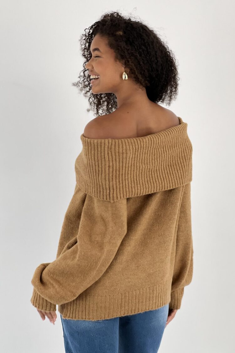 Brown Casual Elegant Sweater With Off Shoulder Neck