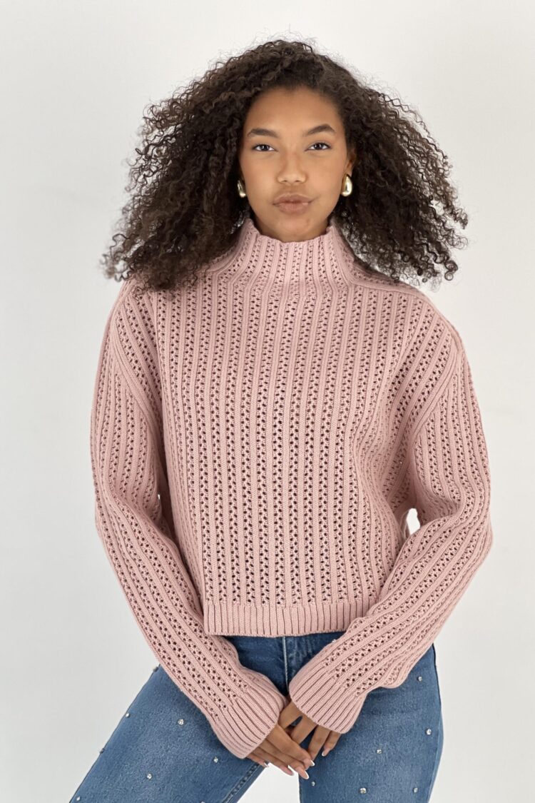 Pink Striped Sweater With High Neck And Long Sleeves